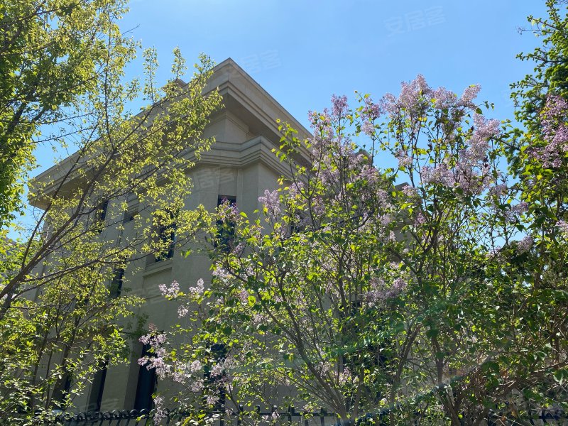 宏润翠湖天地(别墅)