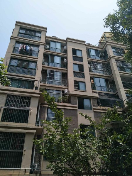 怡景苑,亳州路297号-合肥怡景苑二手房,租房,房价-合肥安居客