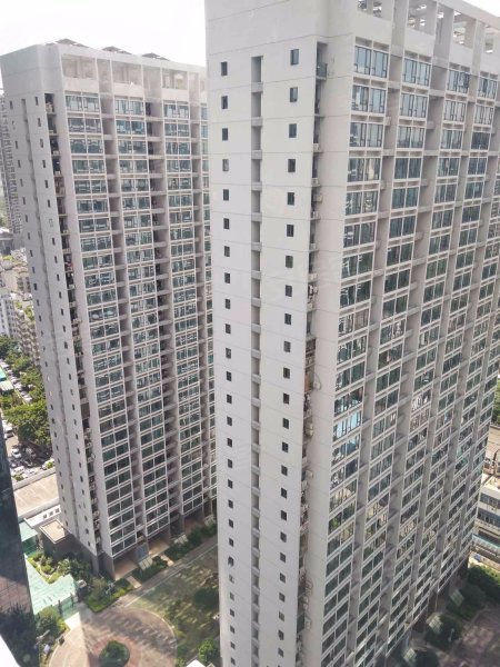 颂德花园(颂德国际)