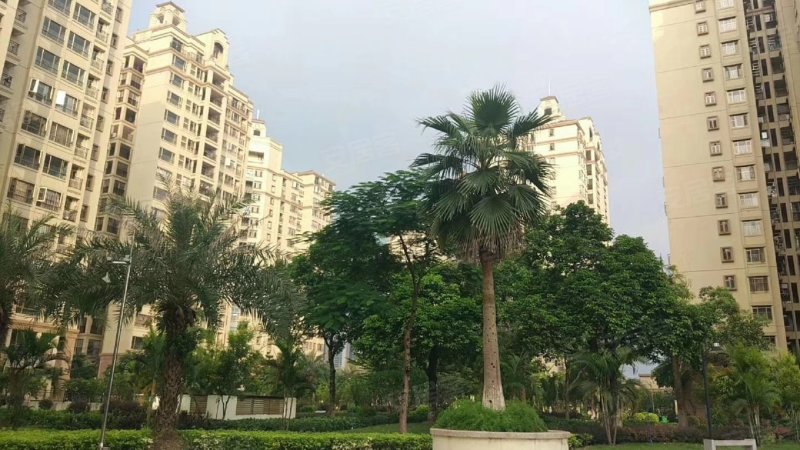 东城御峰,附城大道-清远东城御峰二手房,租房,房价-清远安居客