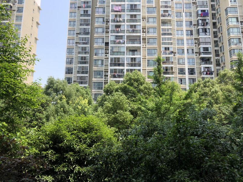 万达星城东区,红谷中大道99号-南昌万达星城东区二手房,租房,房价