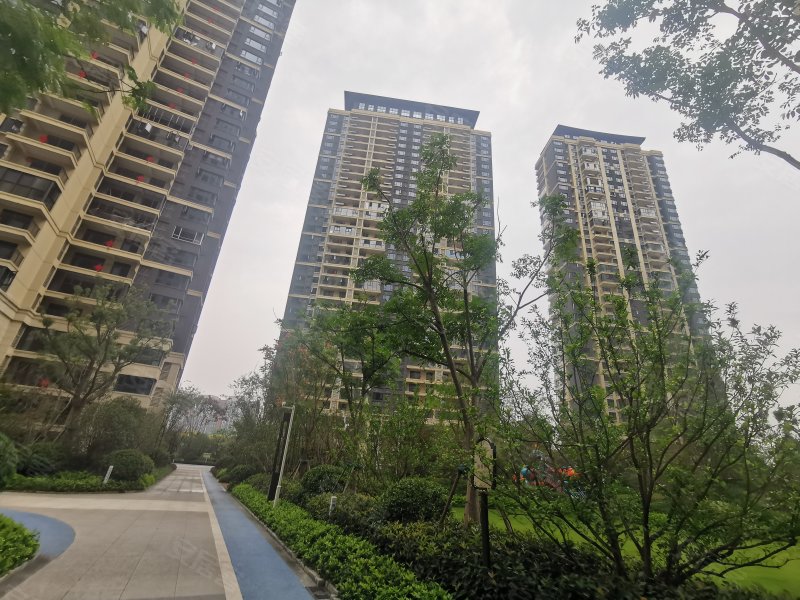 保利堂悦,首辅路-荆州保利堂悦二手房,租房,房价-荆州安居客