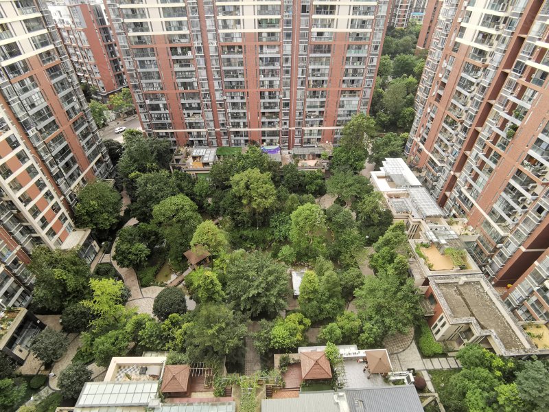 奥林春天一期,园艺东街北段58号-绵阳奥林春天一期二手房,租房,房价