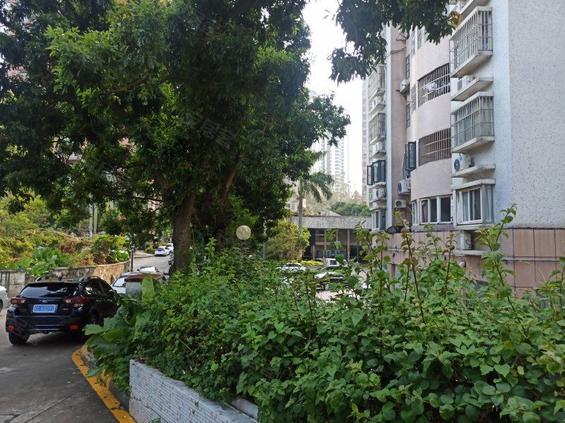 海湾花园,石花东路123号-珠海海湾花园二手房,租房,房价-珠海安居客