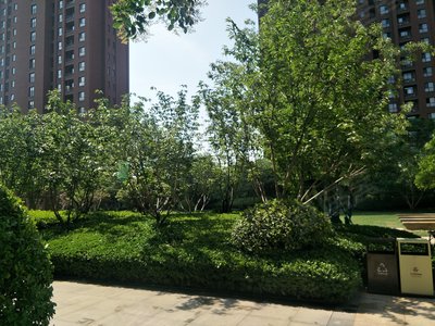 绿都悦府小区图片相册,洛阳绿都悦府实景图,室外图,小区配套图-洛阳