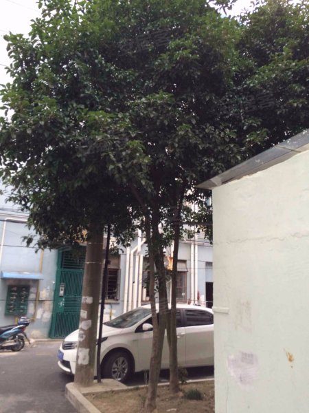 东城壕路8弄小区 