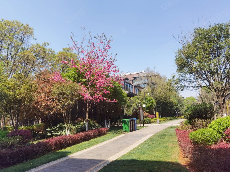 万科白沙润园,景润路555号-昆明万科白沙润园二手房,租房,房价-昆明