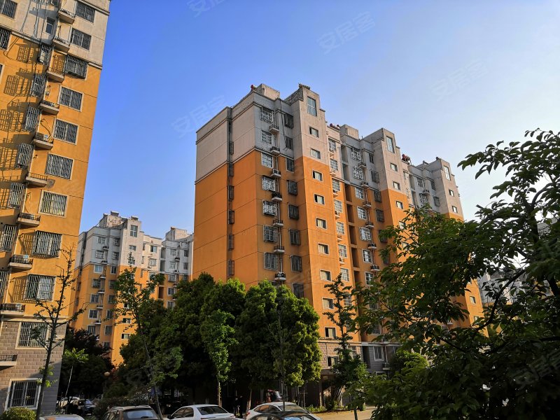 碧水兰庭,荷塘路266号-合肥碧水兰庭二手房,租房,房价-合肥安居客