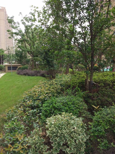 洛城悦湖园,新顺路-秦皇岛洛城悦湖园二手房,租房,房价-秦皇岛安居客