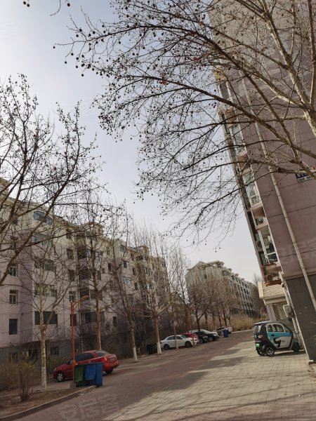 金都花园(武清)