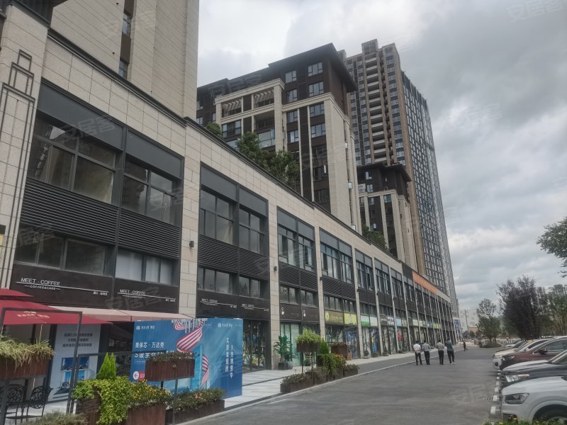 青秀2046(商住楼)