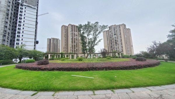 5859元/㎡58万李先生房东江津双福新区津马大道399号津城首府高层(共