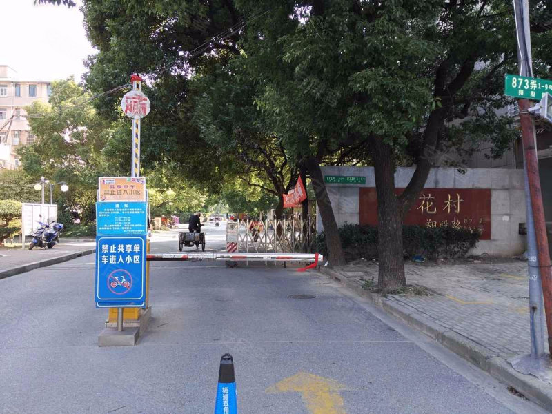 罗秀路873弄图片