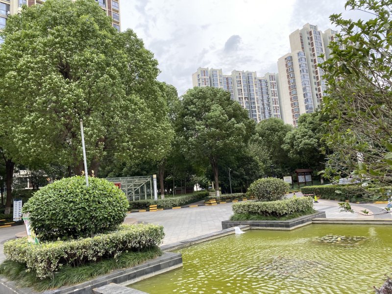 东渡国际青年城