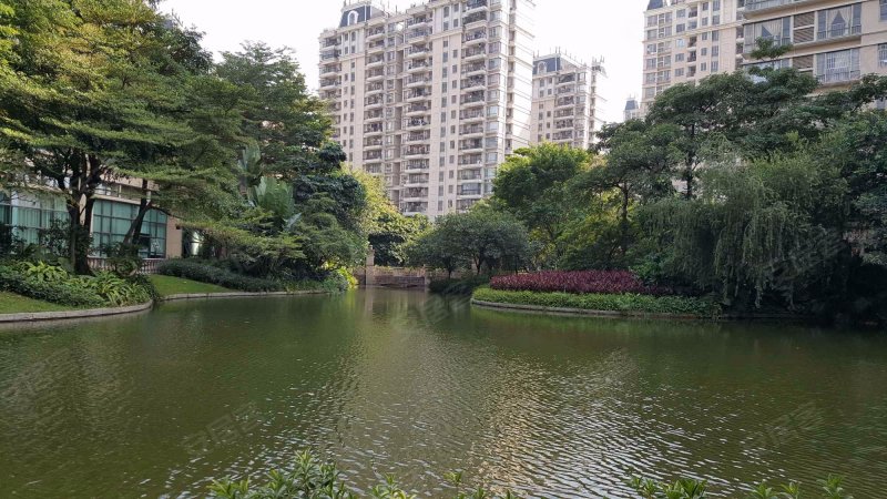 合生君景湾,里水大道南113号-佛山合生君景湾二手房,租房,房价-佛山