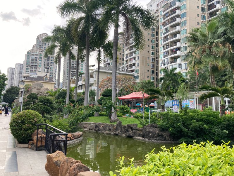 蓝漪花园,蛇口老街51号-深圳蓝漪花园二手房,租房,房价-深圳安居客