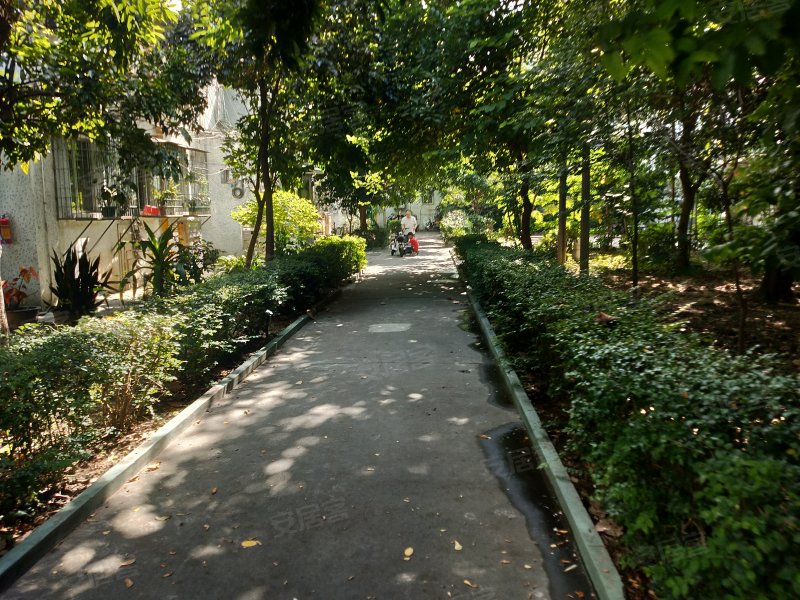 杜鹃园,乐山路-汕头杜鹃园二手房,租房,房价-汕头安居客