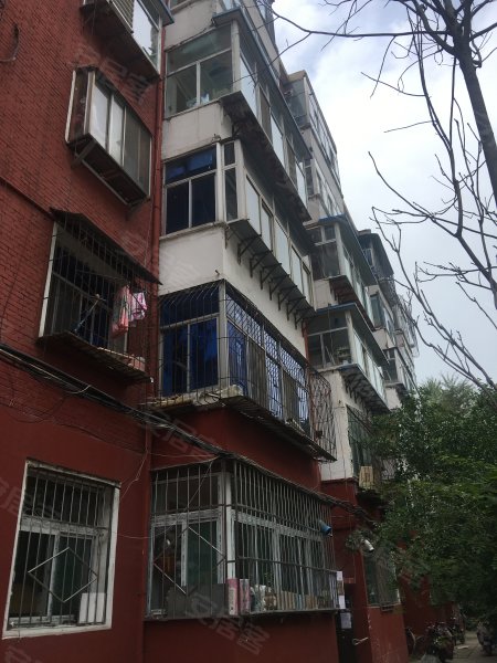 新建路小学宿舍,旱西南二条10号-太原新建路小学宿舍二手房,租房,房价