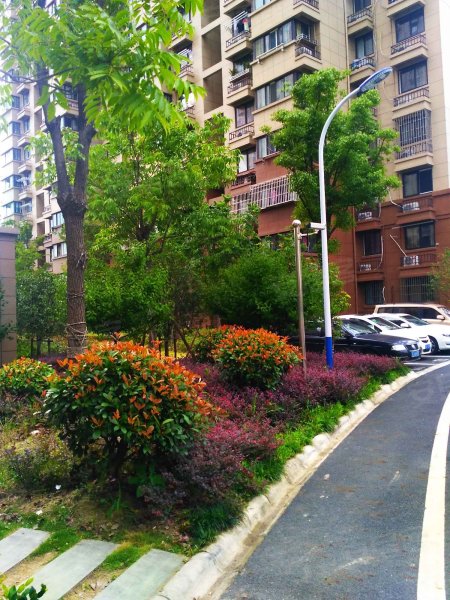 美罗家园罗秀苑