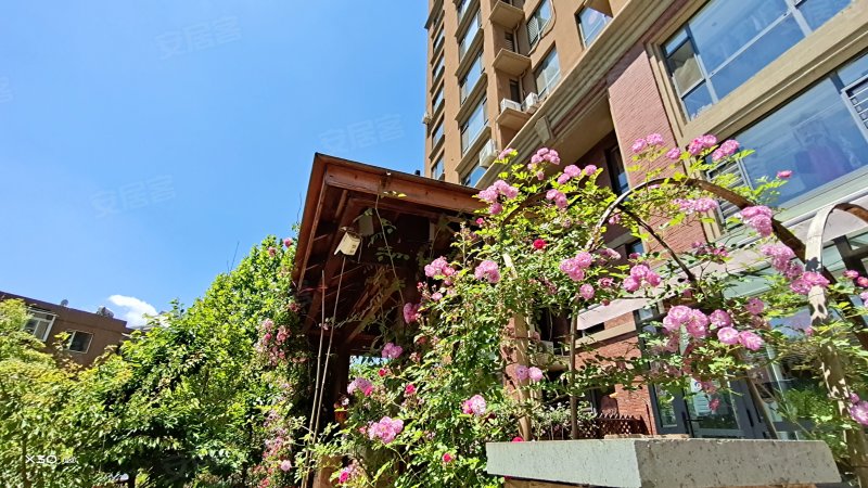 御景苑,中宝街122号,宝山大街140号-丹东御景苑二手房,租房,房价-丹东