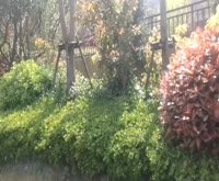 万科海上传奇(三期) 