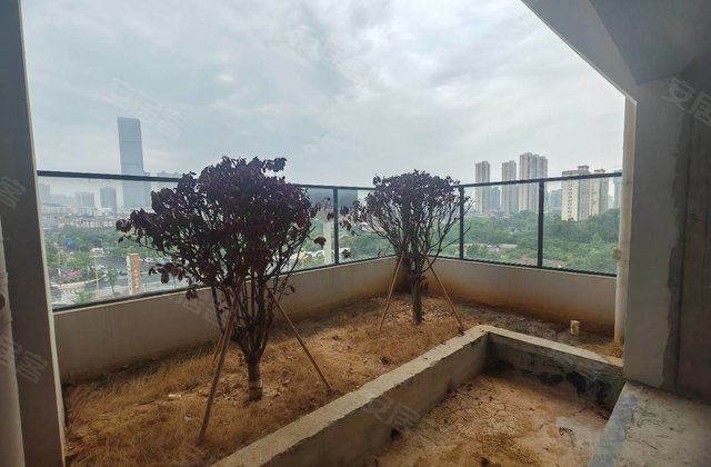天伦湖与树4室2厅126㎡83.5万二手房图片