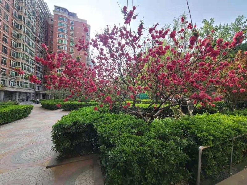 紫竹花园,紫竹院路88号-北京紫竹花园二手房,租房,房价-北京安居客