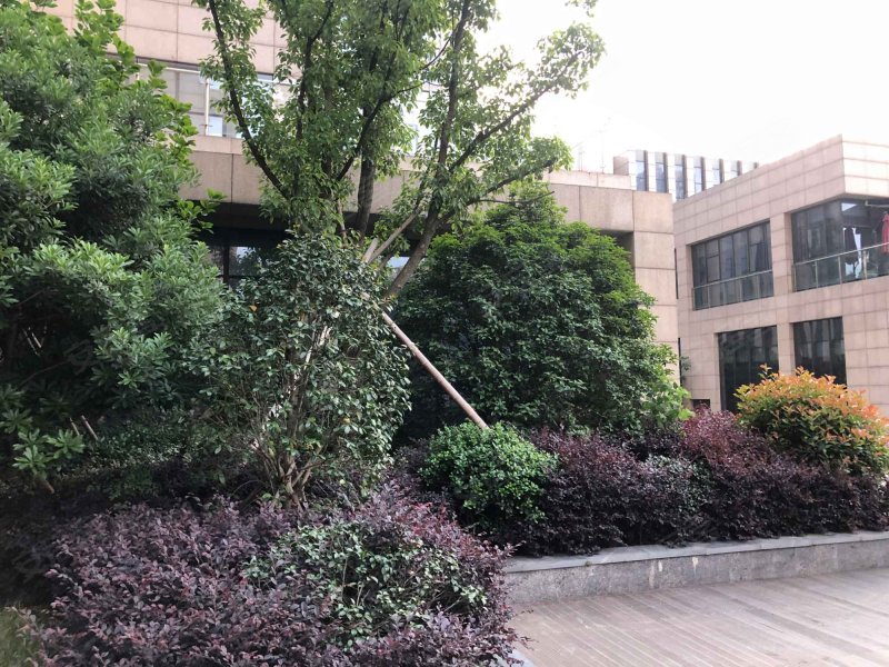 戴德中心,庆丰南路-桐乡戴德中心二手房,租房,房价-桐乡安居客