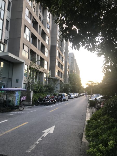 新城盛景c区,崧文路299弄-长沙新城盛景c区二手房,租房,房价-长沙安居