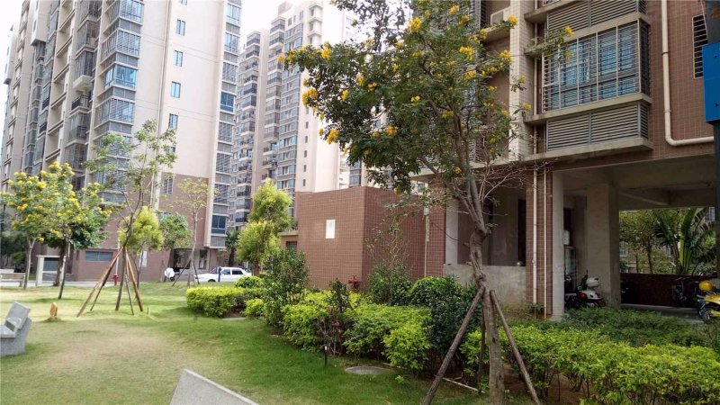 文景雅苑,文景路11号-泉州文景雅苑二手房,租房,房价-泉州安居客