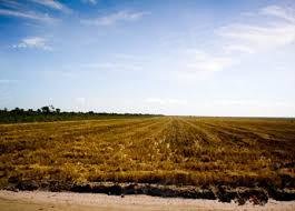 巴西约¥3828万巴西大豆农场 - 2，500公顷，巴西二手房土地图片