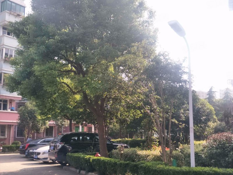 佳林路1071弄小区 