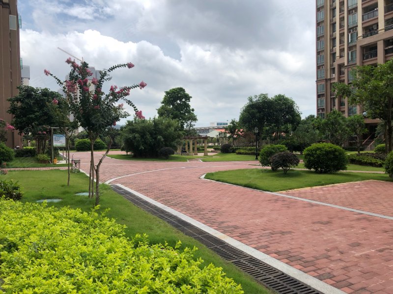 时代倾城(增城中新),新新路39号-广州时代倾城(增城中新)二手房,租房