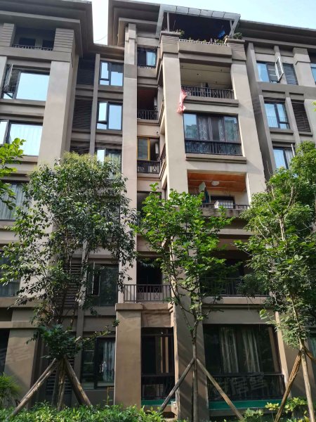 隆鑫爱琴海(2期)