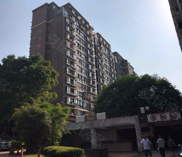 城市森林