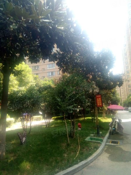 宇信凯旋城(新野)