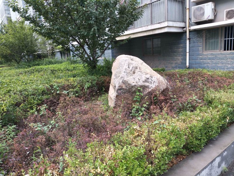 海岱益王府,益王府南路104号-青州海岱益王府二手房,租房,房价-青州