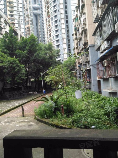 沙区康居苑,凤鸣山5号-重庆沙区康居苑二手房,租房,房价-重庆安居客