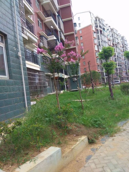 空港花园,横店大道-武汉空港花园二手房,租房,房价-武汉安居客