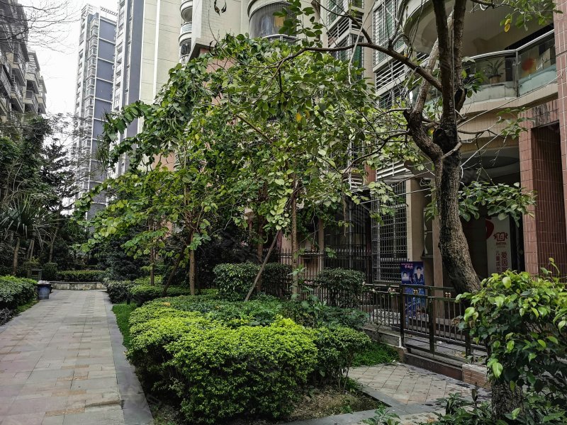 汇景蓝湾,榕江北路-揭阳汇景蓝湾二手房,租房,房价-揭阳安居客