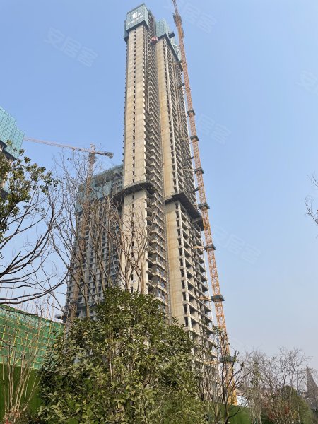 御江壹品青山樽