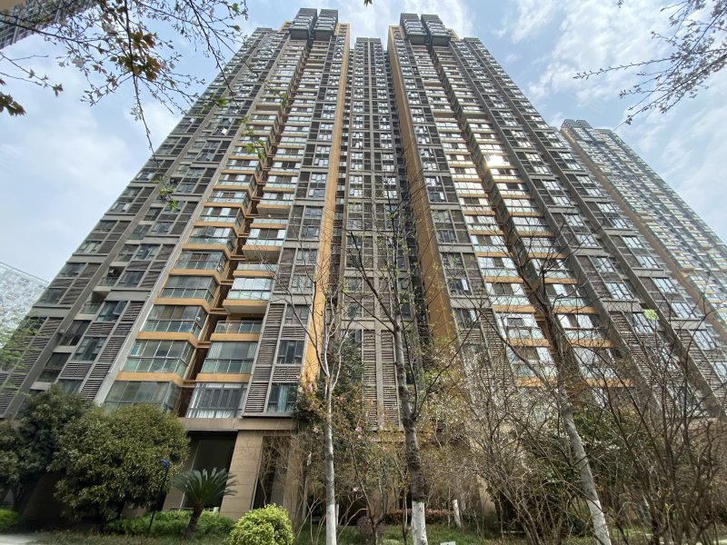 水岸国际峯岚天下(商住楼)