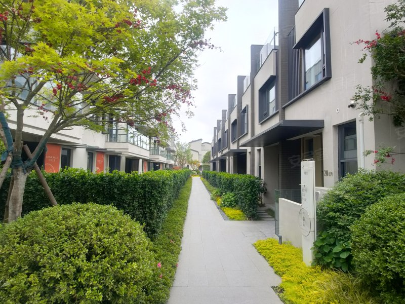 东滩云墅(别墅)