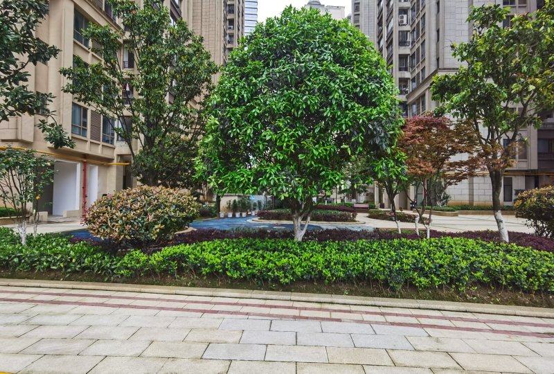 花果园中山公馆