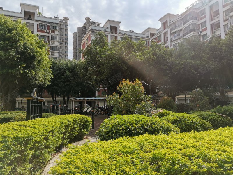 东卉花园,筼筜路2-34号-厦门东卉花园二手房,租房,房价-厦门安居客