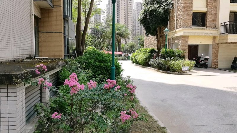 金港名都a区,万安西路1号-宁德金港名都a区二手房,租房,房价-宁德安居