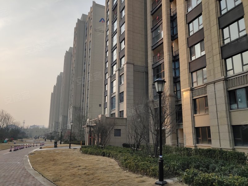 建业壹号城邦天玺