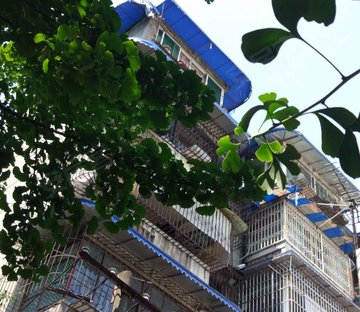 银杏路1号院