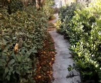 栖山路140弄小区