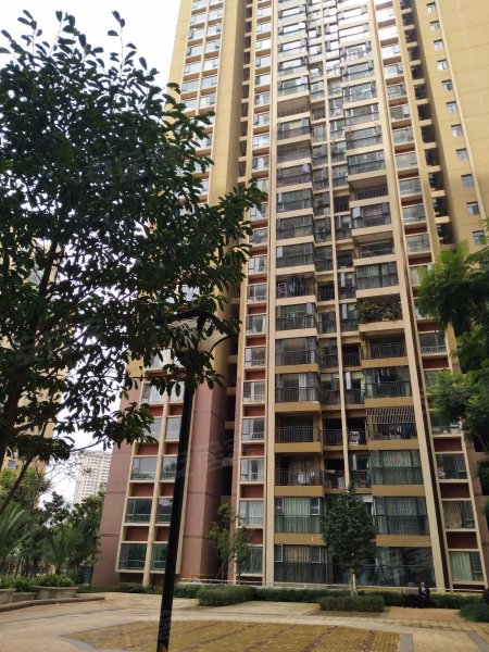 金坤尚城学府里